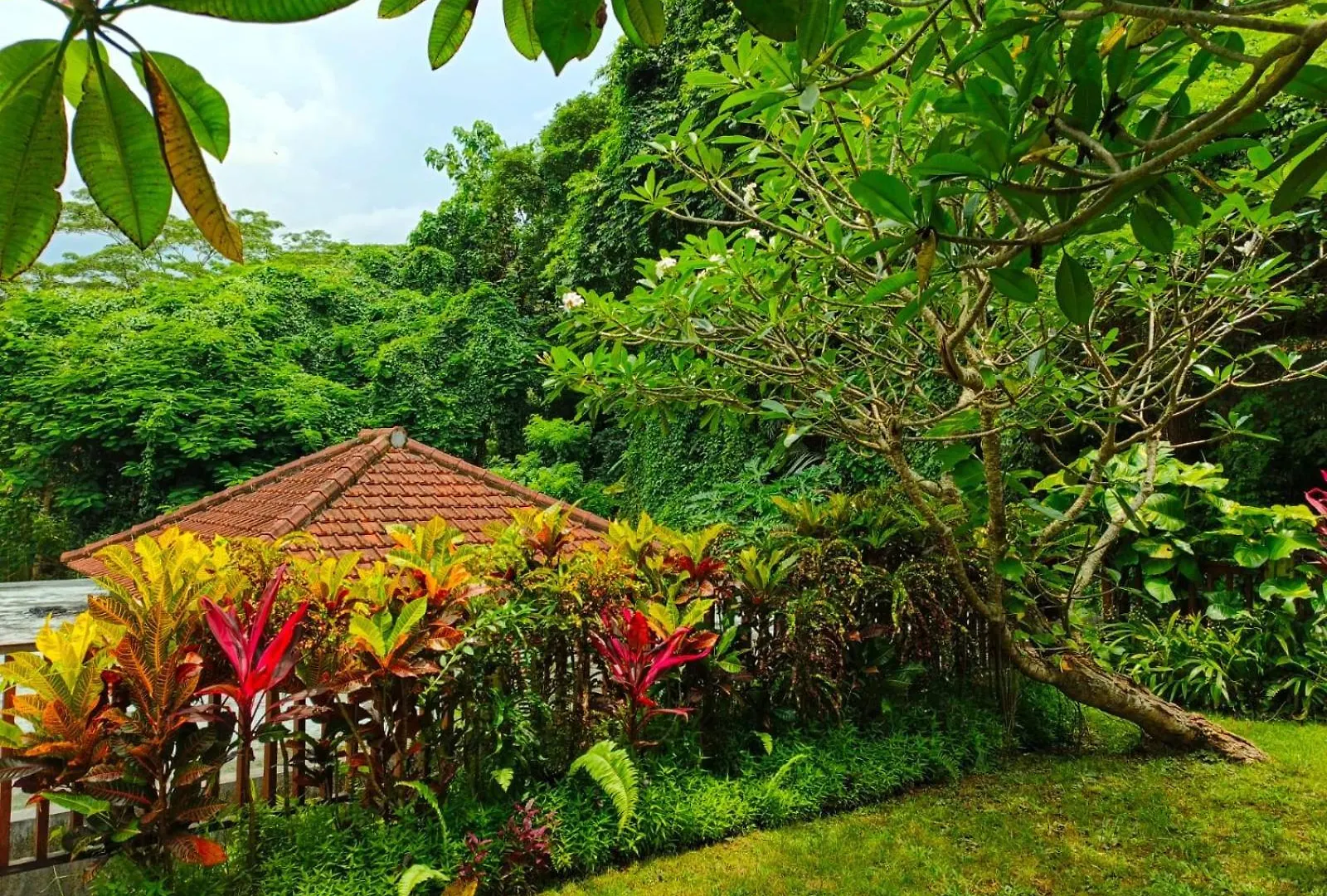 Malathi Homey House With Green View Ubud