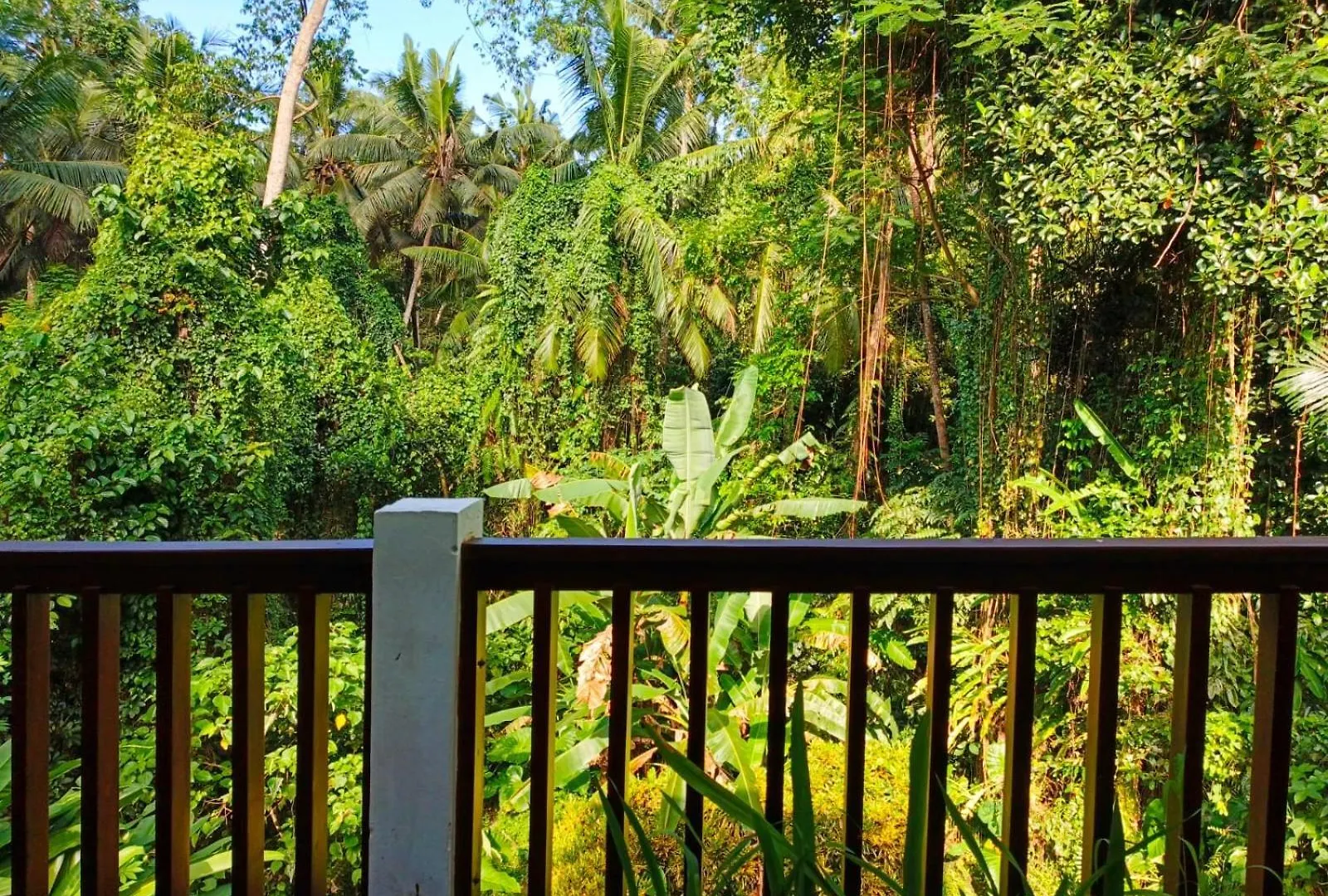 Malathi Homey House With Green View Ubud  0*, Ubud (Bali) Indonesia