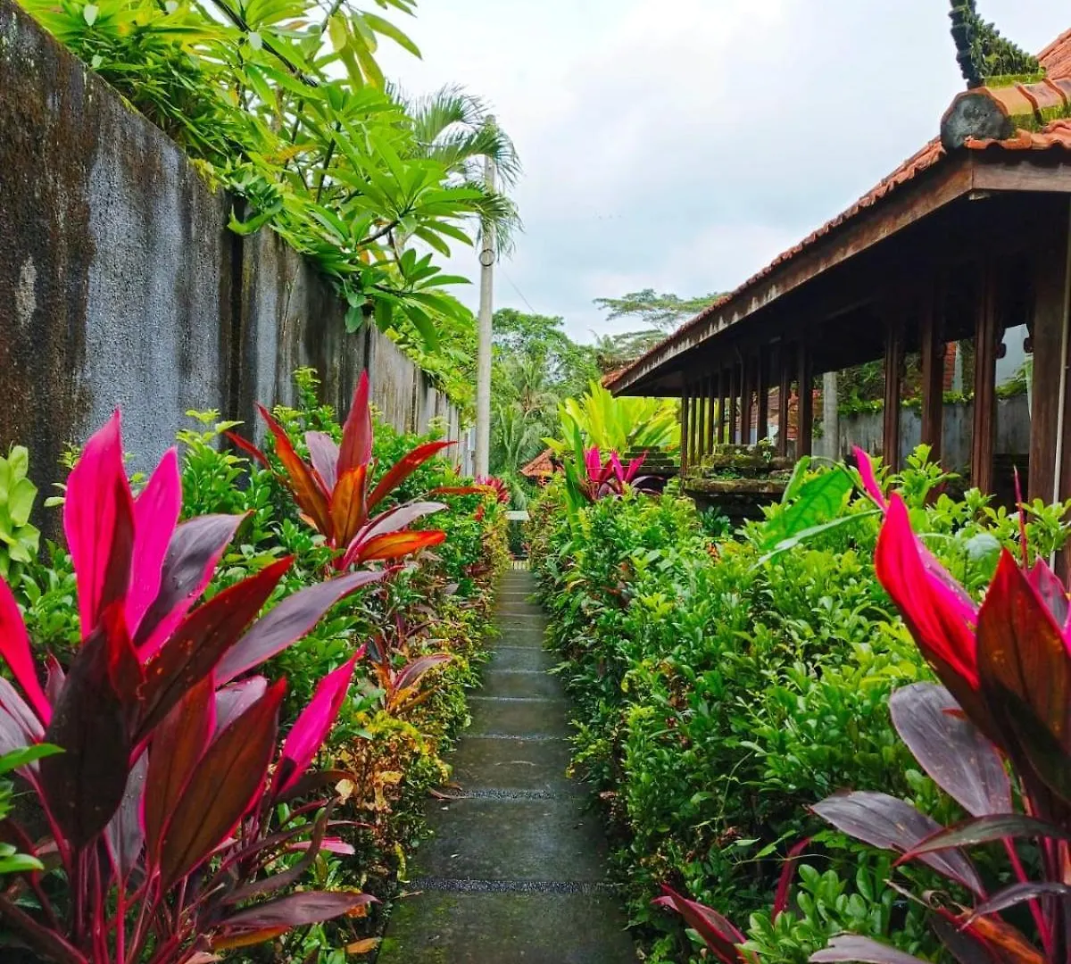 Lodge Malathi Homey House With Green View Ubud