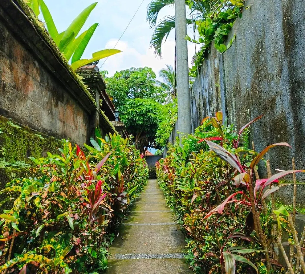Malathi Homey House With Green View Ubud  Lodge